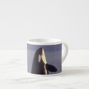 Tasse Expresso Épaulard (Orque orcinus) émergeant près