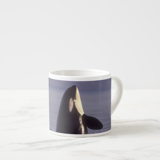 Tasse Expresso Épaulard (Orque orcinus) émergeant près (Devant droit)