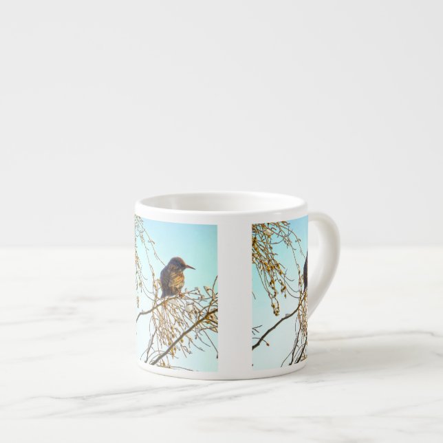 Tasse Expresso Épervier sur une branche d'hiver (Devant droit)