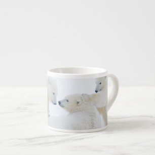 Tasse Expresso États-Unis, Alaska, plaine côtière de l'Arctique 1