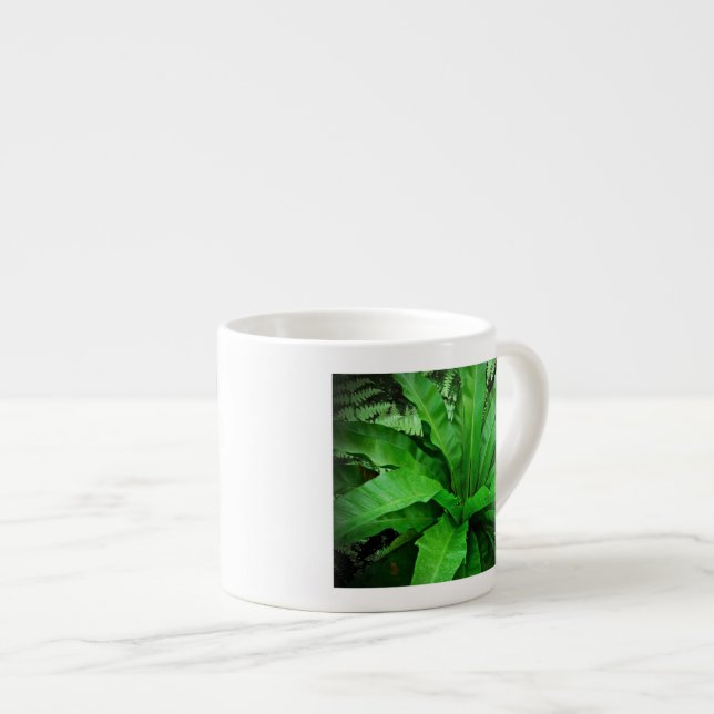 Tasse Expresso Ferne de nid d'oiseaux (Devant droit)