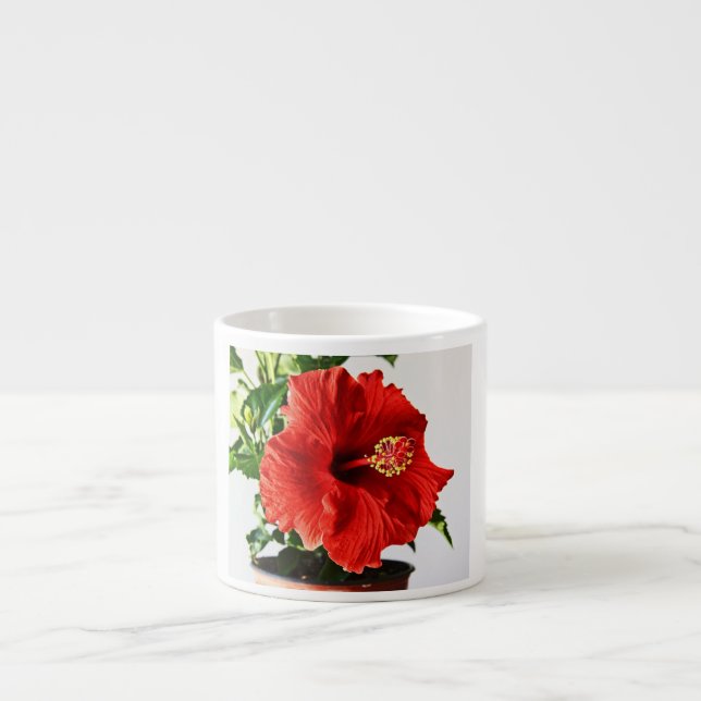 Tasse Expresso Fleur de ketmie (Devant)