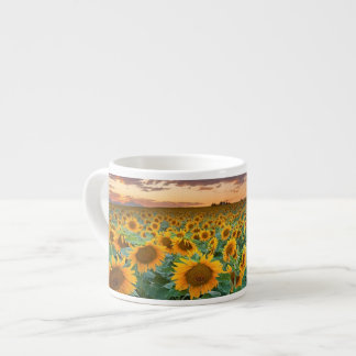 Tasse Expresso Gisement de tournesol dans Longmont, le Colorado
