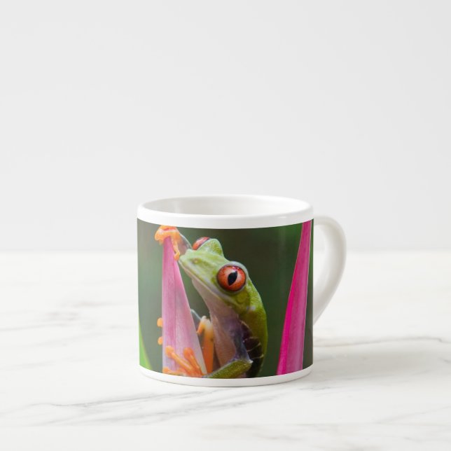 Tasse Expresso Grenouille à oeil rouge, Costa Rica (Devant droit)