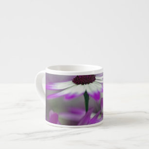 Tasse Expresso Gros plan sur une fleur violette, jardin Keukenhof