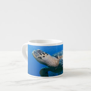 Tasse Expresso Îles Caïmans, Little Cayman Island, Sous l'eau 2