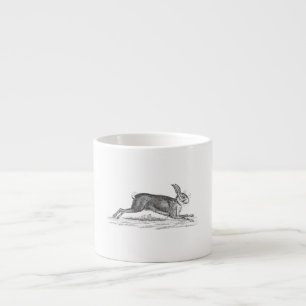 Tasse Expresso Illustration vintage de 1800s de lapin de lièvres