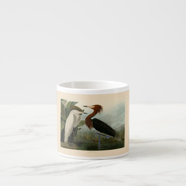 Tasse Expresso Impression de Héron Pourpré d'Audubon : Art d'Oise (Devant)