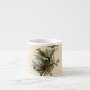 Tasse Expresso Impression d'oiseau de John James Audubon Jaseur b