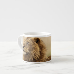 Tasse Expresso Kenya, Masai Mara Lion mâle