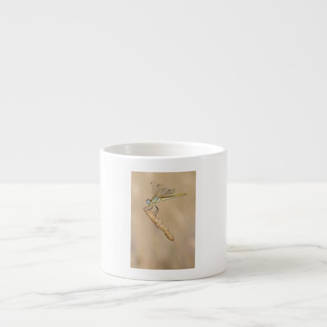 Tasse Expresso Libellule Skimmer Femelle Insecte (CC BY 4.0) Espr (Devant)