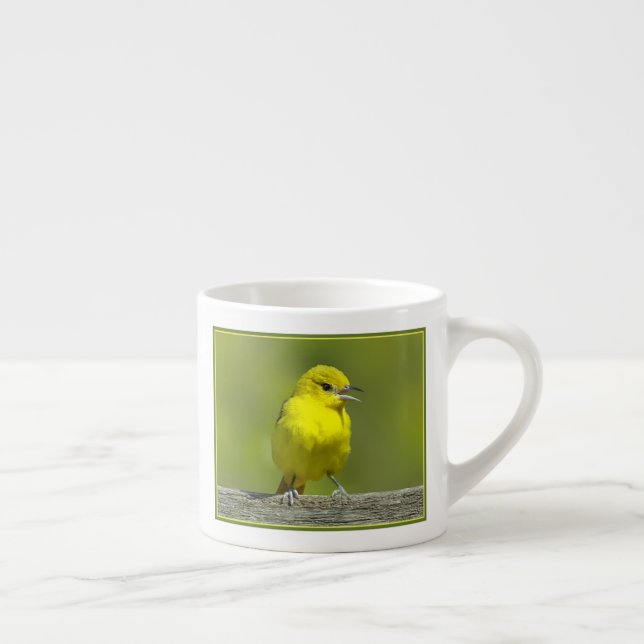 Tasse Expresso Loriole de verger - Photographie originale (Droite)