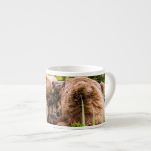 Tasse Expresso Mama bear nourrit ses deux petits, Lake Clark Nati