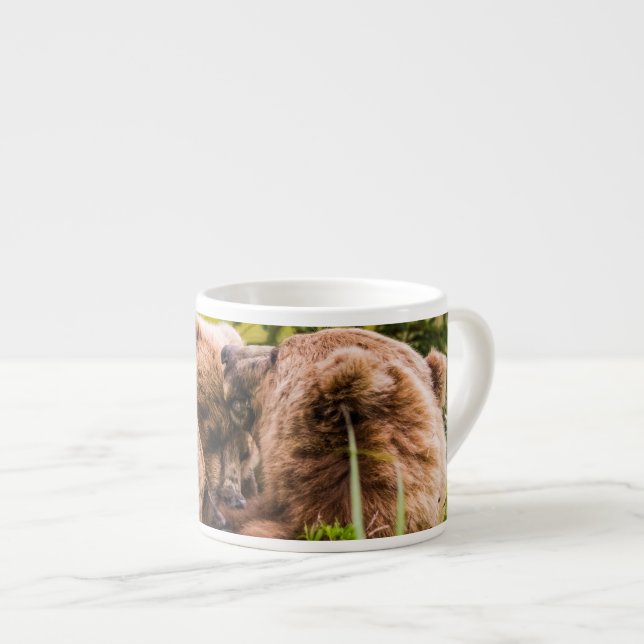 Tasse Expresso Mama bear nourrit ses deux petits, Lake Clark Nati (Devant droit)