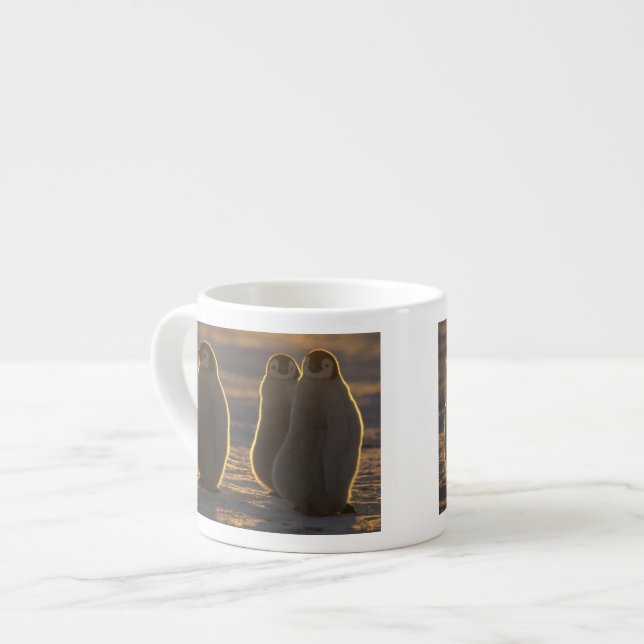Tasse Expresso Manchots empereurs (Devant gauche)