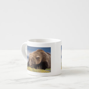 Tasse Expresso ours brun, Ursus arctos, grizzly, Ursus 8