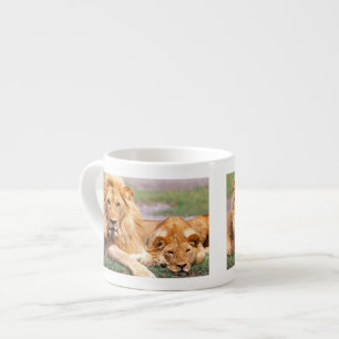 Tasse Expresso Paire de lions d'Afrique, Panthera leo, Tanzanie