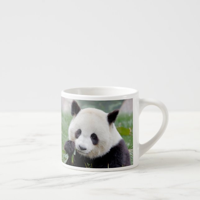 tasse expresso Panda géant photo. (Droite)