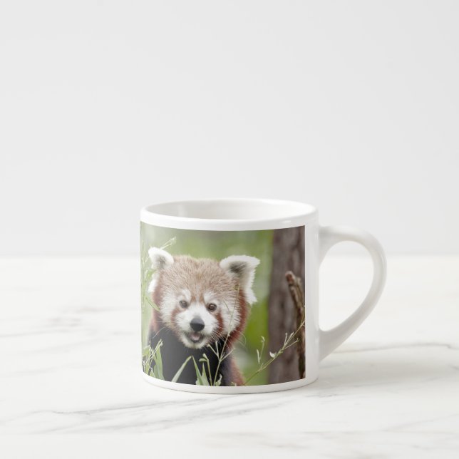 tasse expresso Panda rouge photo. (Droite)