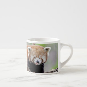 tasse expresso Panda rouge photo.
