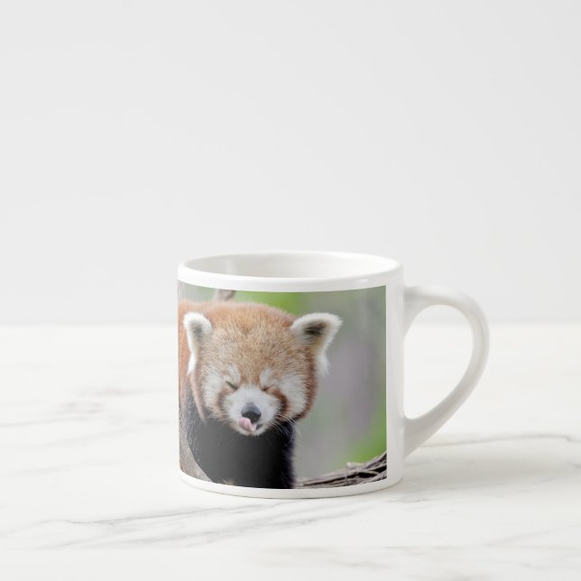tasse expresso Panda rouge photo. (Droite)