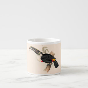 Tasse Expresso Peinture animalière d'antiquités Toucans