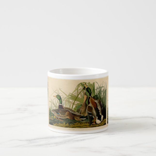Tasse Expresso Peinture d'oiseaux de Mallard Duck Audubon (Devant)