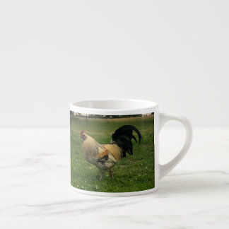 Tasse Expresso Photo de poulet à la ferme