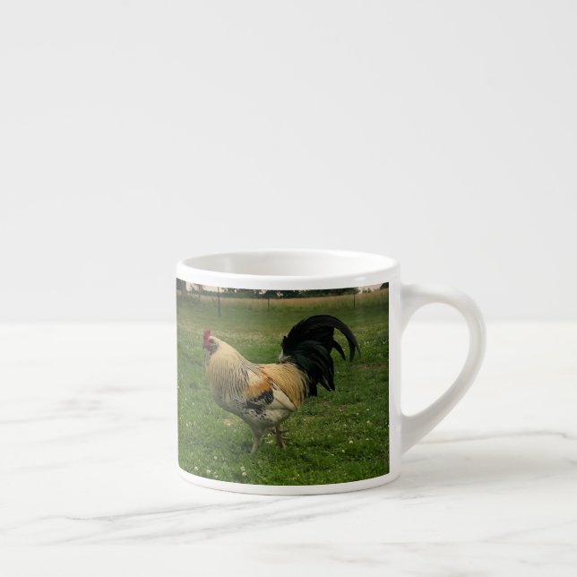 Tasse Expresso Photo de poulet à la ferme (Droite)