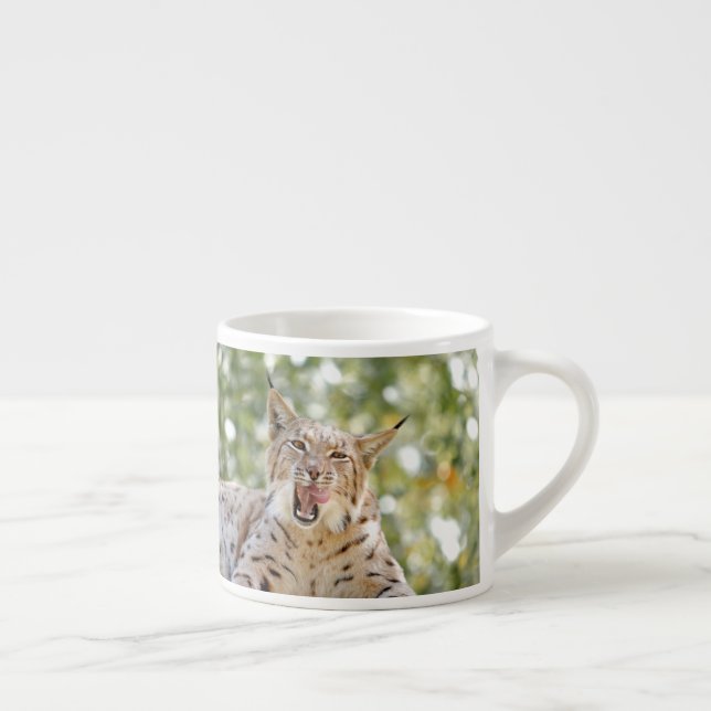 Tasse Expresso Photo lynx, chat, animaux, coupe espresso (Droite)