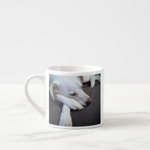 Tasse Expresso Photo Sleeping Chien Rapide récupération obtenir b