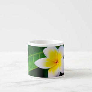 Tasse Expresso Photographie de fleurs de plumeria
