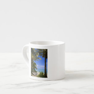Tasse Expresso Plage bordée de palmiers Îles Cook 2