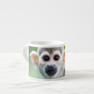 Tasse Expresso Plan rapproché d'un singe-écureuil commun