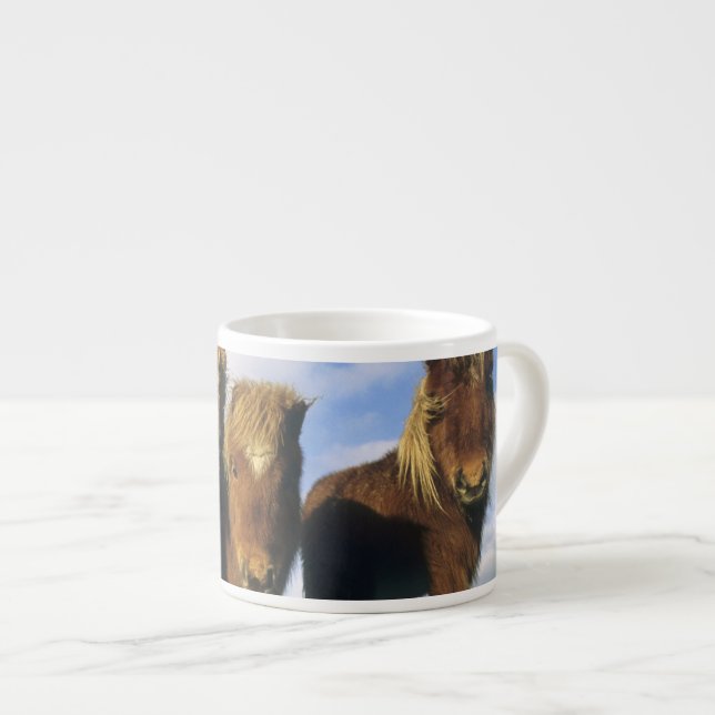 Tasse Expresso Poney Shetland, Shetland continentale, (Devant droit)
