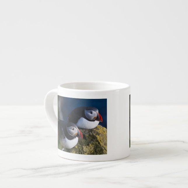 Tasse Expresso Puffin de l'Atlantique (Devant gauche)