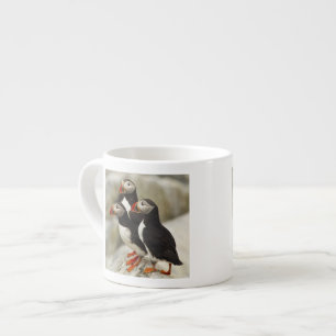 Tasse Expresso Puffins de l'Atlantique sur l'île des phoques Mach