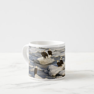 Tasse Expresso Pygargue à tête blanche, Haliaeetus leucocephalus,