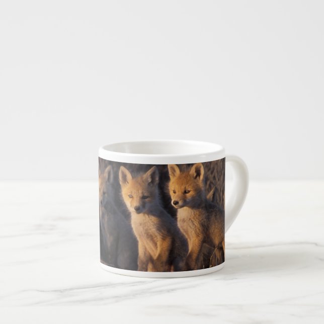 Tasse Expresso renard roux, Vulpes vulpes, kits (Devant droit)