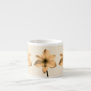 Tasse Expresso sépia amaryllis