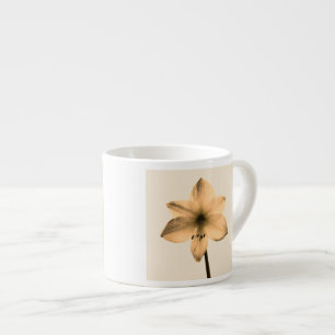 Tasse Expresso sépia amaryllis