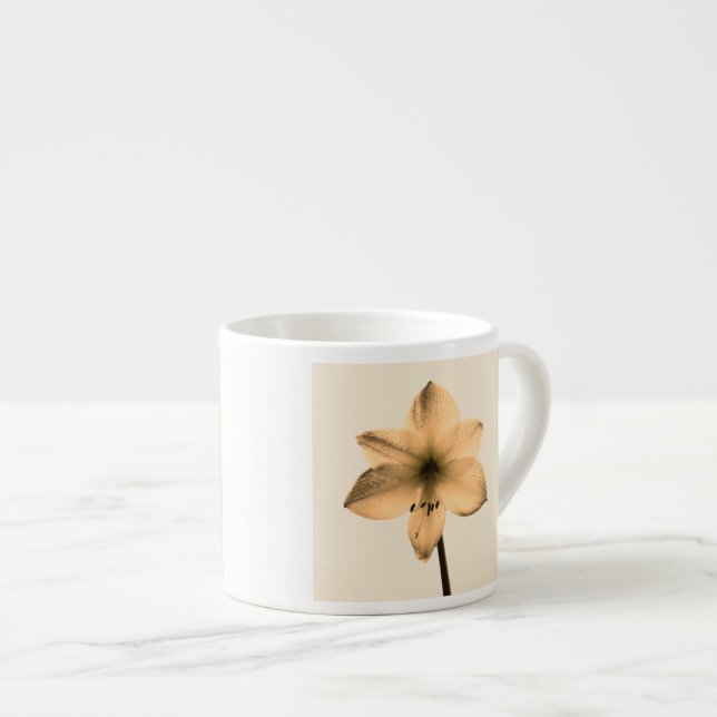 Tasse Expresso sépia amaryllis (Devant droit)