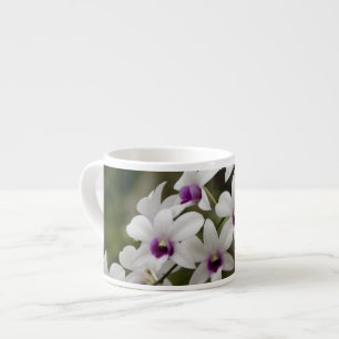 Tasse Expresso Singapour (Sanskrit pour Cité du Lion). National 2