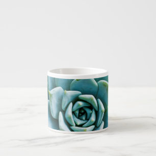 Tasse Expresso Succulent