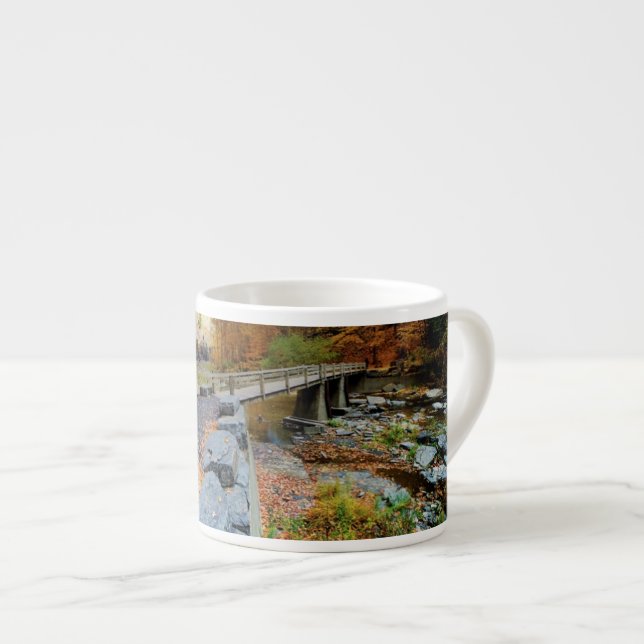 Tasse Expresso Taughannock tombe parc d'état (Devant droit)
