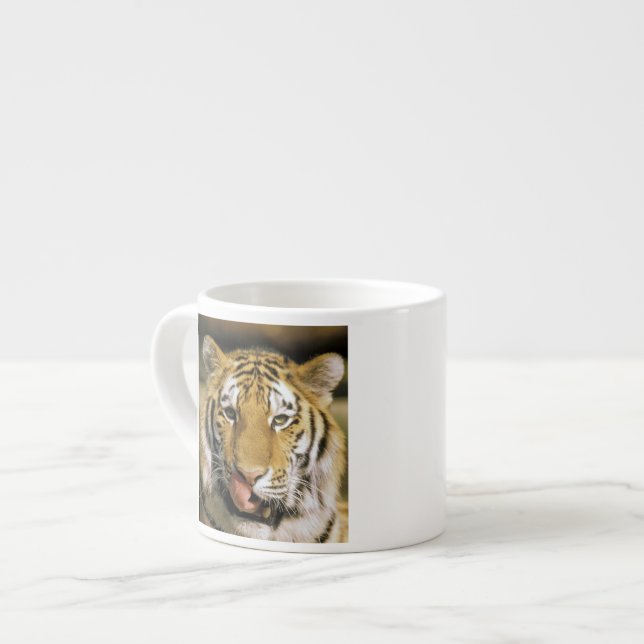 Tasse Expresso Tigre Zoo du Michigan (Devant gauche)
