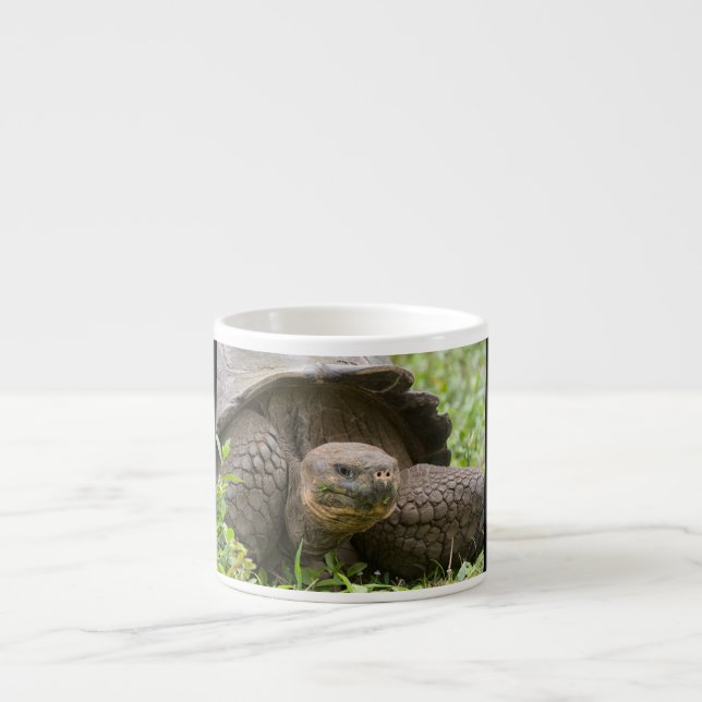 Tasse Expresso Tortue géante (Devant)
