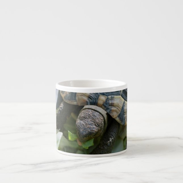Tasse Expresso Tortue mignonne (Devant)
