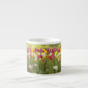 Tasse Expresso Tulipes colorées dans un parc 2