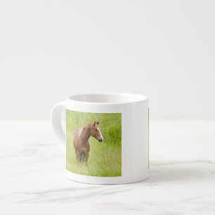Tasse Expresso USA, Washington, Horse in Spring Field,